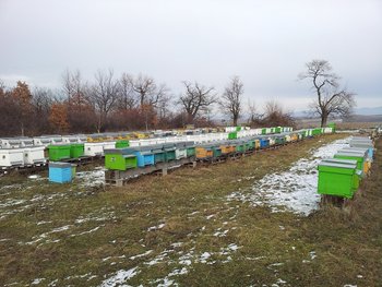 poza 3- ianuarie 2013.jpg