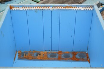 DSC_0034 (Copy).JPG