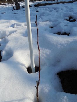 DSCN0201.jpg