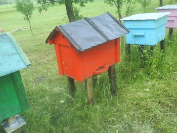 DSC01227.JPG