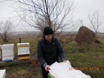 image.jpg