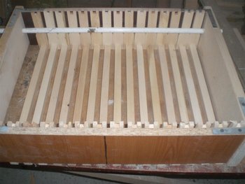 CIMG3161 (Large).JPG