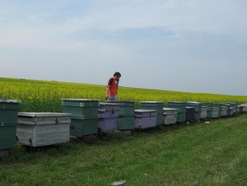 IMG_0582.JPG