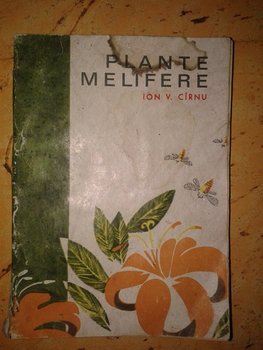 Fotografie-0295 (Copy).jpg
