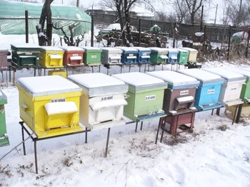 P1080059.JPG