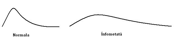 Sunete familii.JPG