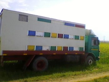 SP_A0129.jpg