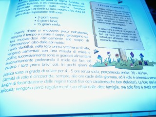 20130129_212417.jpg