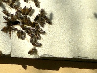 20130131_131922.jpg