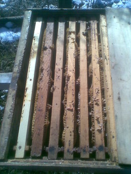 Imag001.jpg