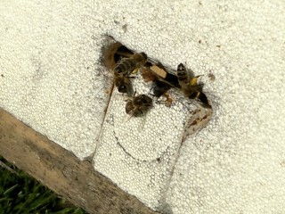 20130131_131603.jpg