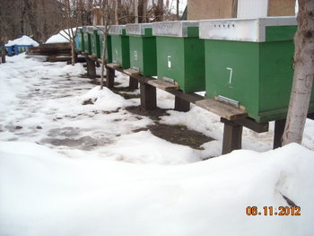 DSCN1911.JPG