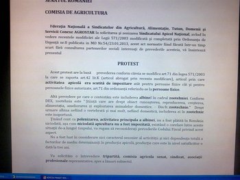 Image0022 (Large).jpg