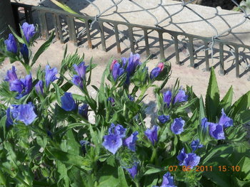 rsz_1dscn0758.jpg