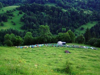 100_9581.JPG