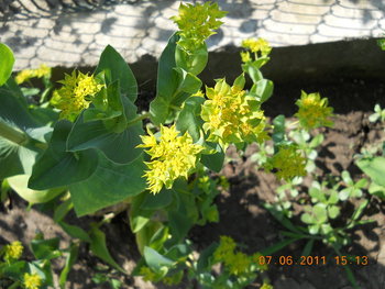 rsz_dscn0764.jpg