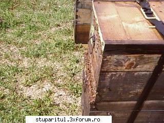 ok_166187.jpg