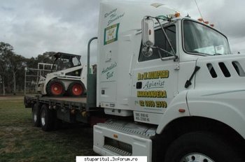 camion5.jpg