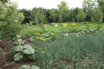 DSCF1237 (Small).JPG