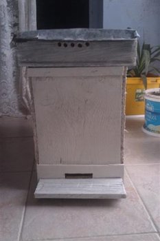 IMAG0130 (Small).jpg