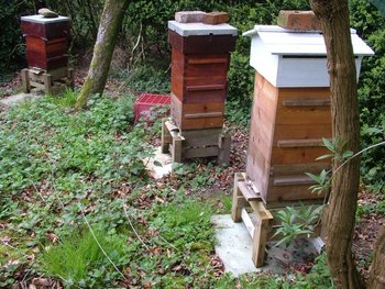garden_apiary_170409.jpg