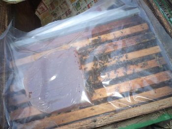 DSC02884 (Medium).JPG