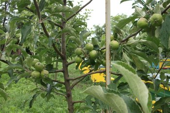 DSCF1225 (Medium).JPG