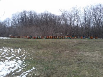 2013-02-12 15.42.55 (Copy).jpg