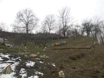 DSCN9740 (Small).JPG