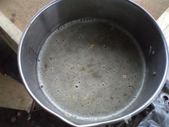 DSC02899 (Medium).JPG