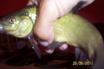 50169876_QRRJRHSBO.jpg