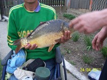 50169950_KGESELJYL.jpg