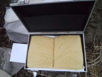 DSC02914 (Medium).JPG