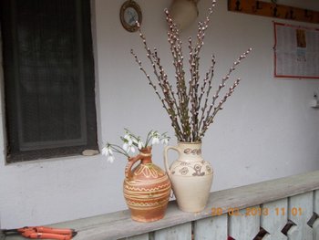 STUPINA LUI FLORINELU 009.JPG