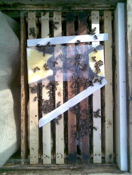 Imag075.jpg