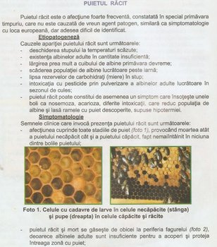 poza1.JPG