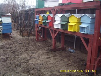 IMG_4089 (Medium).JPG