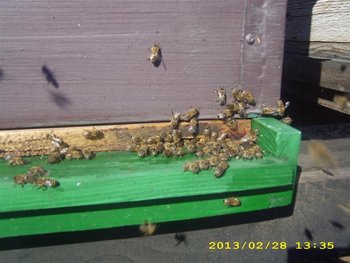 IMG_4110 (Medium).JPG