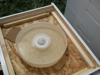 rsz_dscn0837.jpg