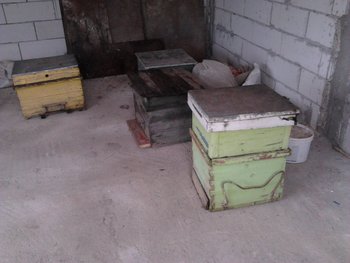 rsz_2013-02-26_162500.jpg