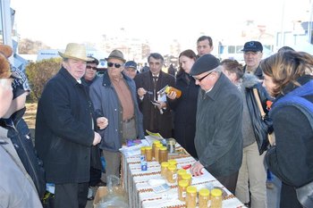 DSC_0258 (Medium).JPG