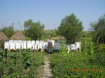 rsz_dscn0864.jpg