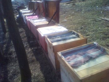 IMG_20130302_101223.jpg