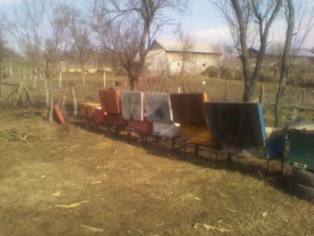 IMG_20130302_101304.jpg