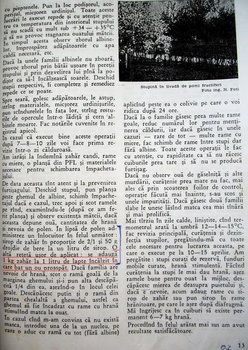reteta lapte si ou.jpg