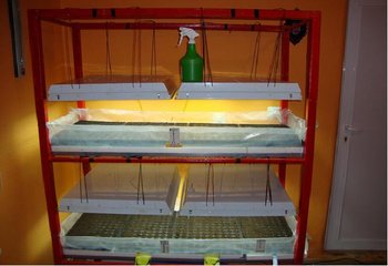 lampa1.JPG