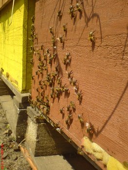 DSC03169.JPG