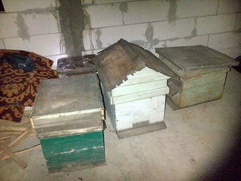 rsz_img-20130307-00047.jpg