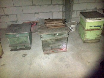 rsz_img-20130307-00049.jpg