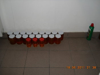 rsz_dscn0886.jpg